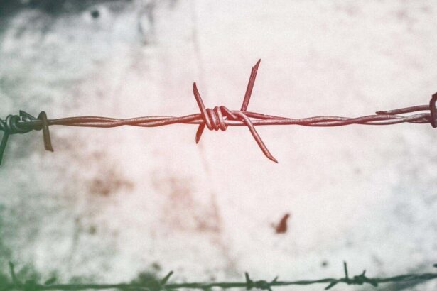 Closeup of barbed wire