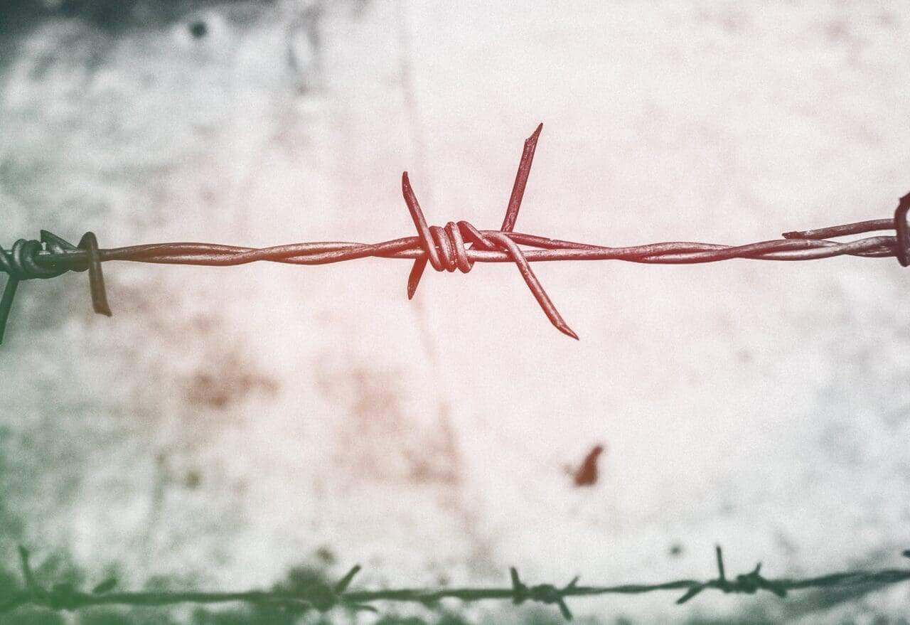 Closeup of barbed wire