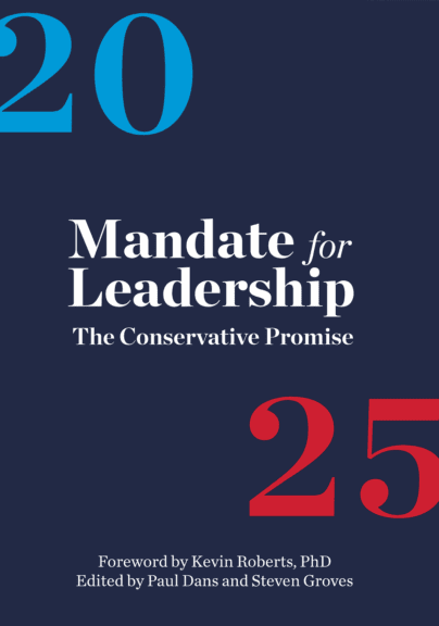 Project 2025 book cover