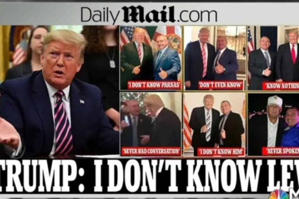 Everyone in america should hear this: lev parnas exposes gop in epic testimony