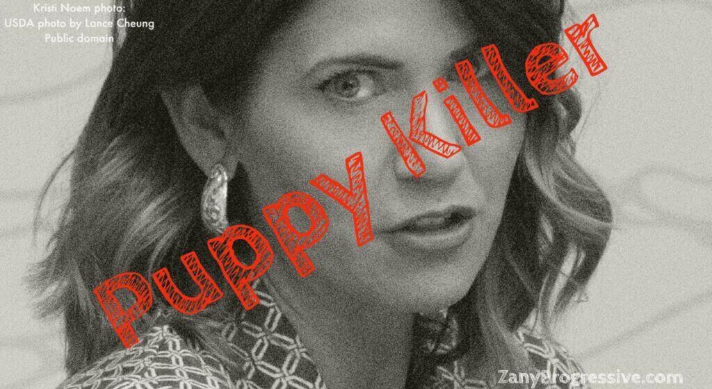 Kristi noem photo with “puppy killer” written over it