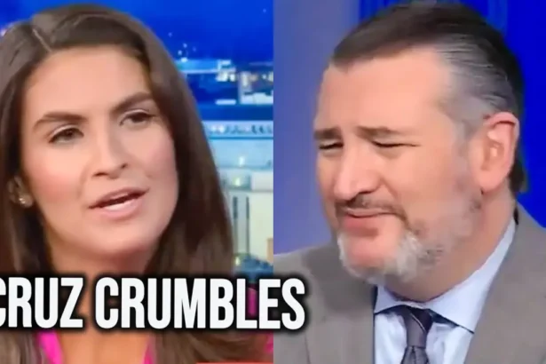 Kaitlin collins and ted cruz