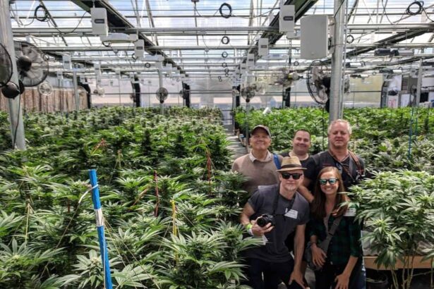 A group of cannabis tourists poses for a photo inside the euflora greenhouse grow facility in denver, colorado