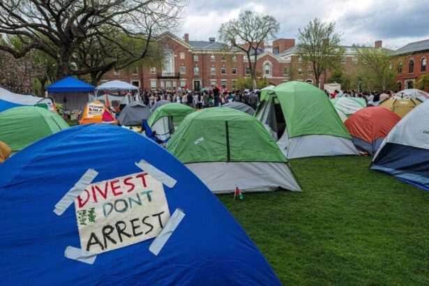 An encampment at the campus peace protest at Brown University