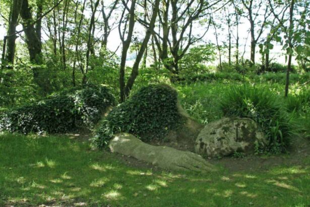 Old growth forests people should be a part of nature. A beautiful green photo of the forest