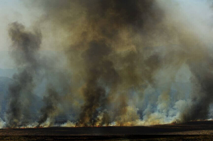 ICE detained 2 firefighters battling the wildfire in Oregon