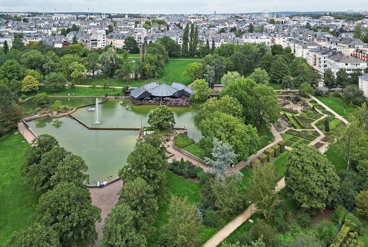 A view of the ground from a drone