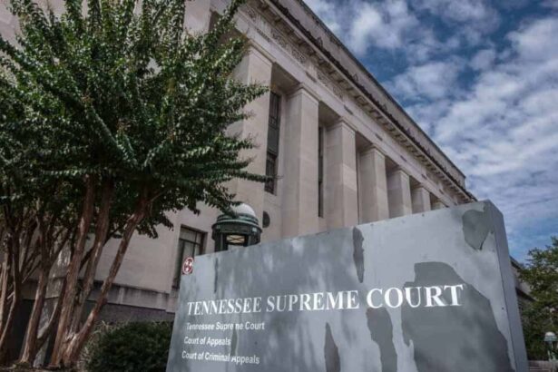 Tennessee supreme court