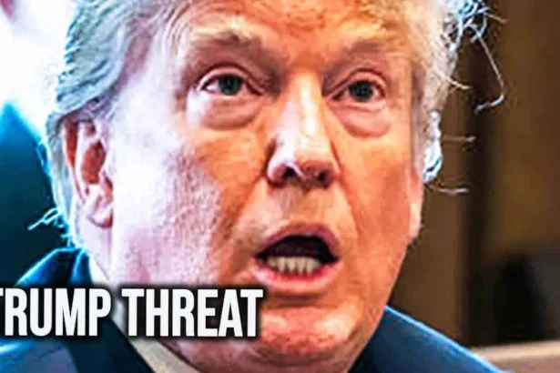 Trump looks confused