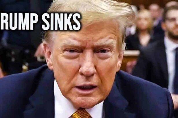 Donald trump in court