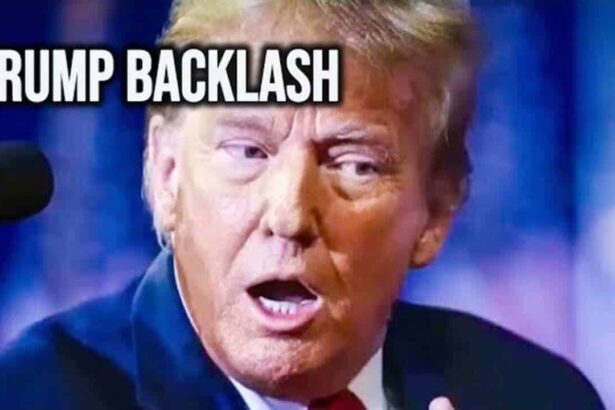 Donald trump bewildered