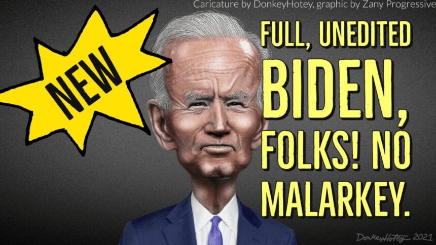 Joe biden caricature in