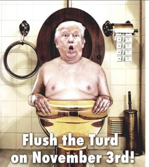 Donald trump cartoon of him in a toilet with text that says “flush the turd in november”