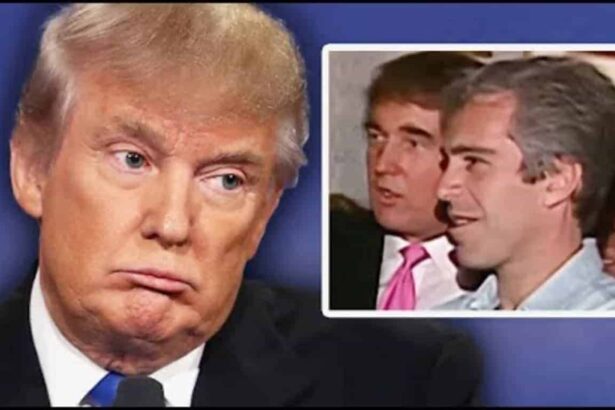 Donald trump and jeffrey epstein