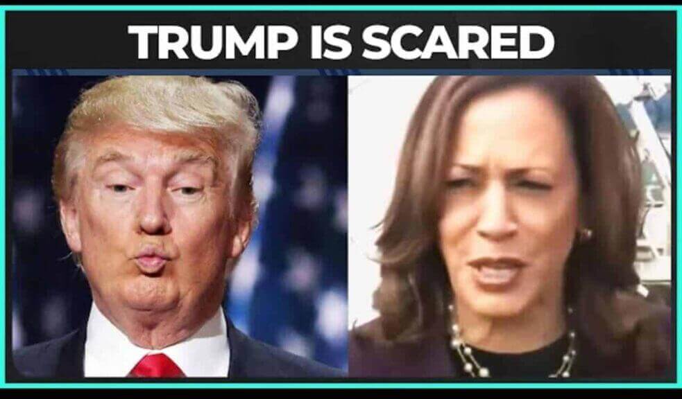 Trump and Kamala Harris