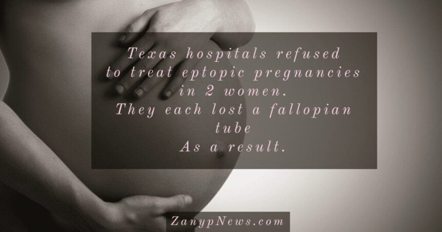 Pregnant woman’s belly in sepia