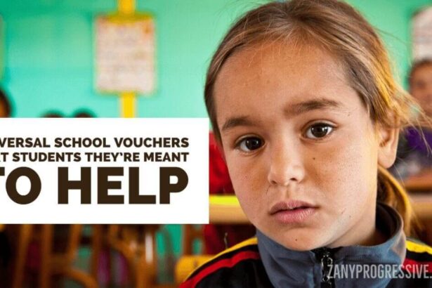 Elementary school students universal school vouchers graphic
