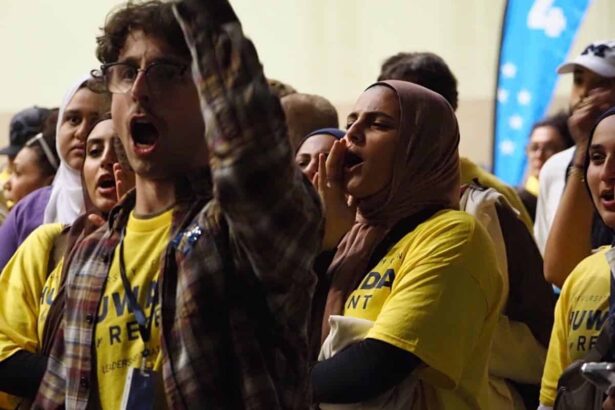 Supporters of hawaida arraf in michigan demand accountability from the democratic party for arraf not being in the ballot