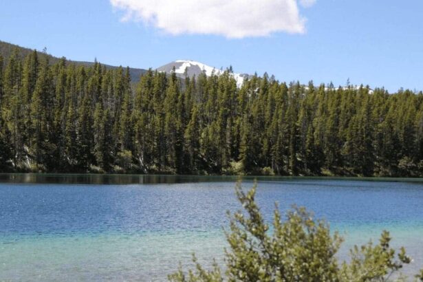 A scenic view of heart lake in the scapegoat wilderness. The united states congress designated the scapegoat wilderness in 1972 with a total of 239,936 acres. The long northwest border of the scapegoat wilderness is shared with the bob marshall wilderness and the massive limestone cliffs that dominate 9,204 ft scapegoat mountain are an extension of the “bob’s” chinese wall. Elevations range from 5,000 feet on the north fork blackfoot river to 9,400 feet on red mountain; the highest peak in the wilderness complex.