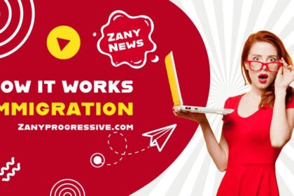 YouTube video cover on how immigration works