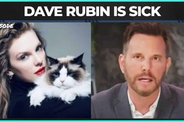 Taylor swift holding her cat and dave rubin