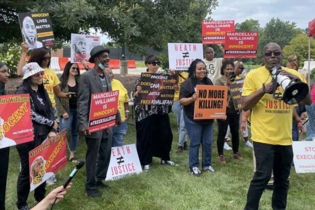 Supporters of marcellus williams rally in favor of his exoneration in shaw park near st. Louis county court in clayton, mo. , on aug. 21, 2024.