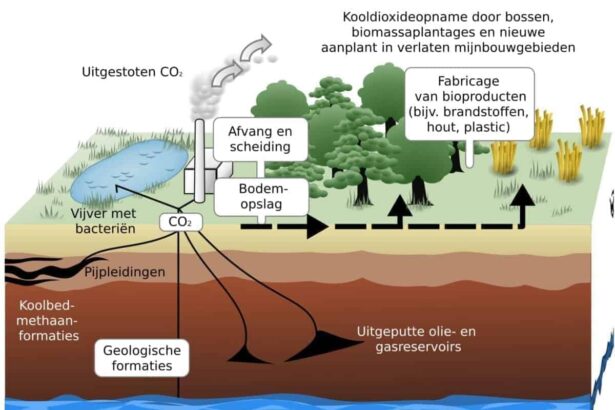 Diagram showing how underground carbon capture works