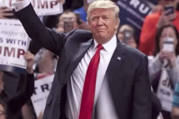 President donald teump at a rally in 2017.