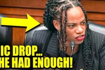 Representative Summer Lee schools James Comer on DEI