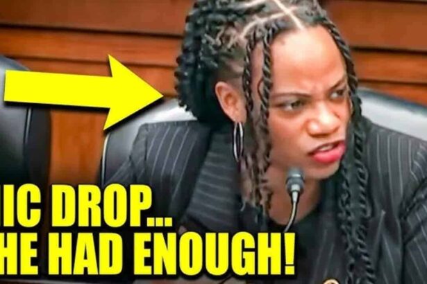 Representative summer lee schools james comer on dei