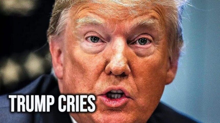 Extreme close-up of donald trump’s face