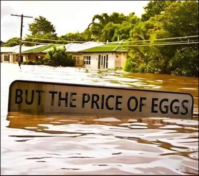 You voted for a republicans a sign in flood waters submerged with only the very top showing and it says, “but the price of eggs. ”