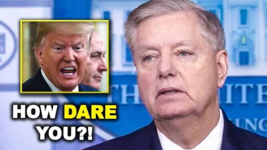 Senator lindsey graham and donald trump