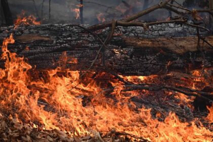 New York wildfire caused by a drought.