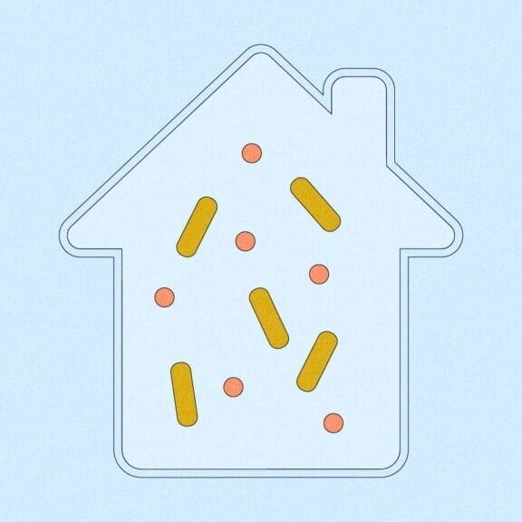 Illustration of the outline of a house with microbes floating around inside