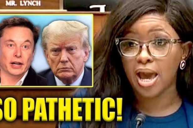 Jasmine crockett donald trump and elon musk