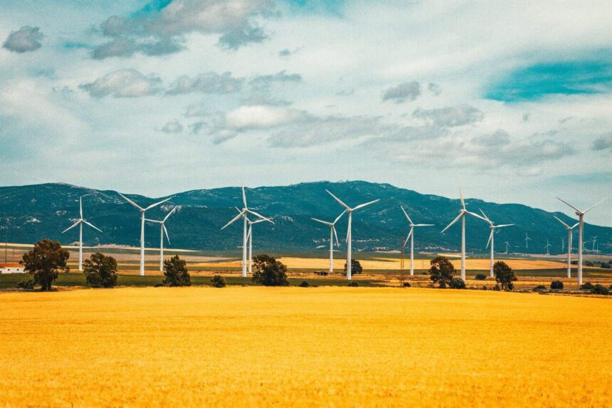 Golden fields with rows of wind turbines behind them