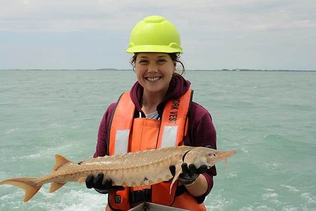 epa great lakes Epa scientist holding a fish from the great lakes