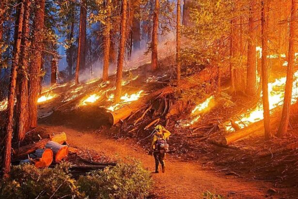 Firefighter sarah platt patrols hand line during initial attack of the washburn fire.