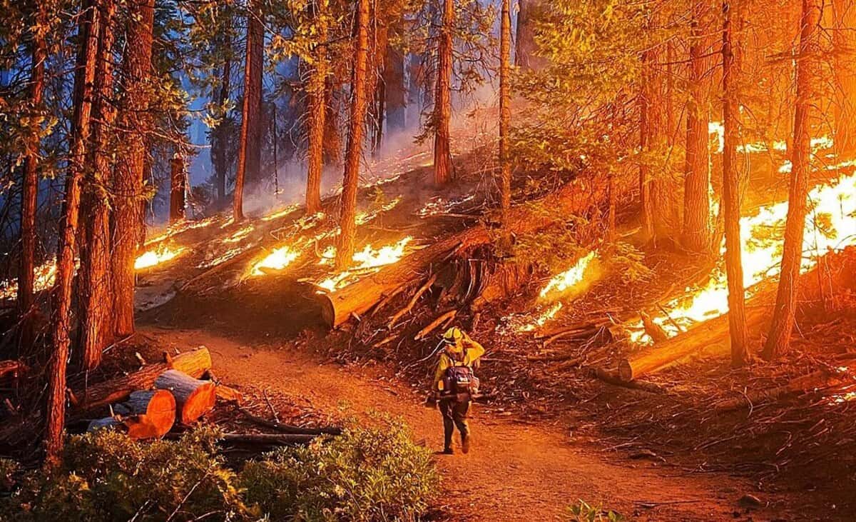 Firefighter Sarah Platt patrols hand line during initial attack of the Washburn Fire.