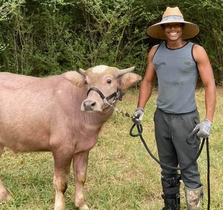 Farmer with a cow