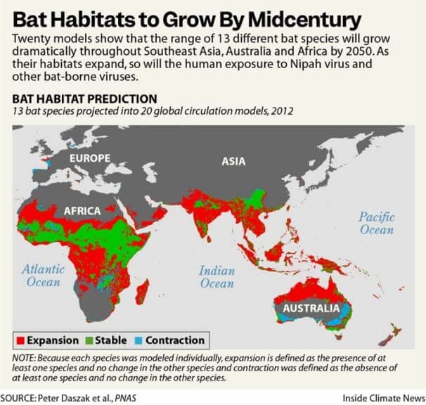 bats nipah virus world map Infographic world map of locations of bat habitats carrying nipah virus