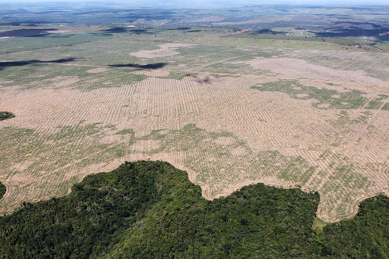 Aerial view of deforestation in brazil