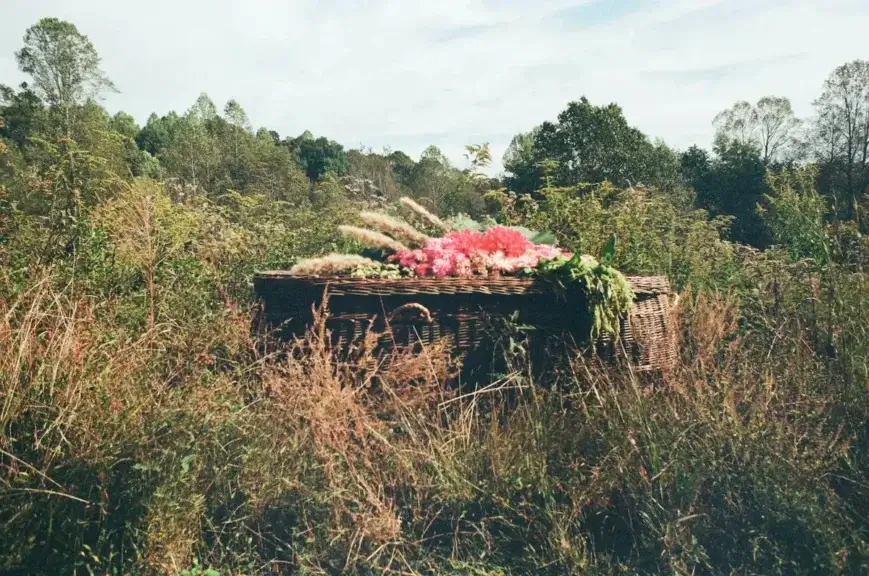 Green burials casket example