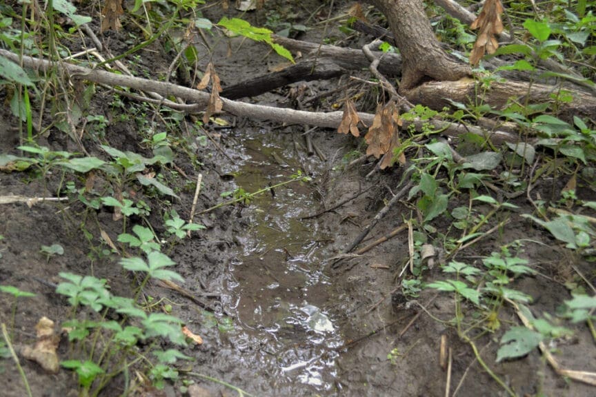 Stream that feeds into beaver creek is seen following rainfall. Under proposed amendments to the clean water act
