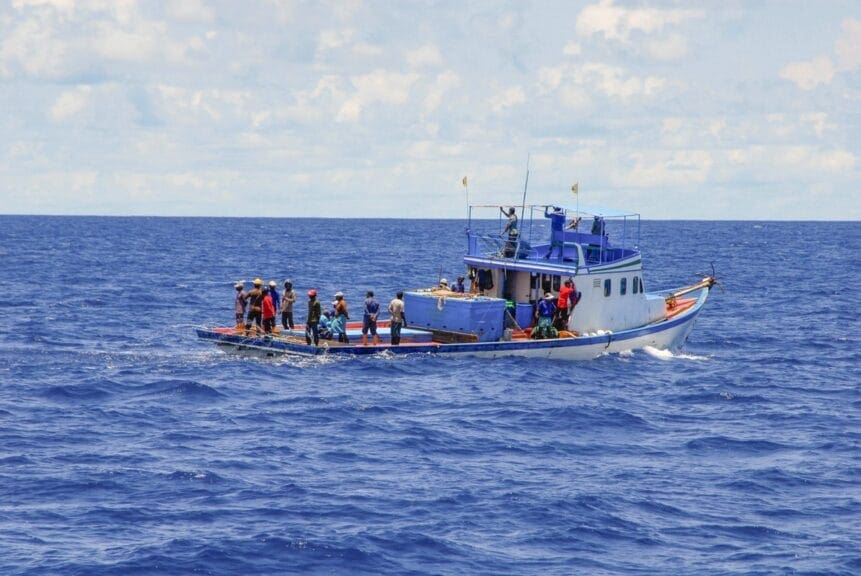 Gulped sharks boat in the ocean