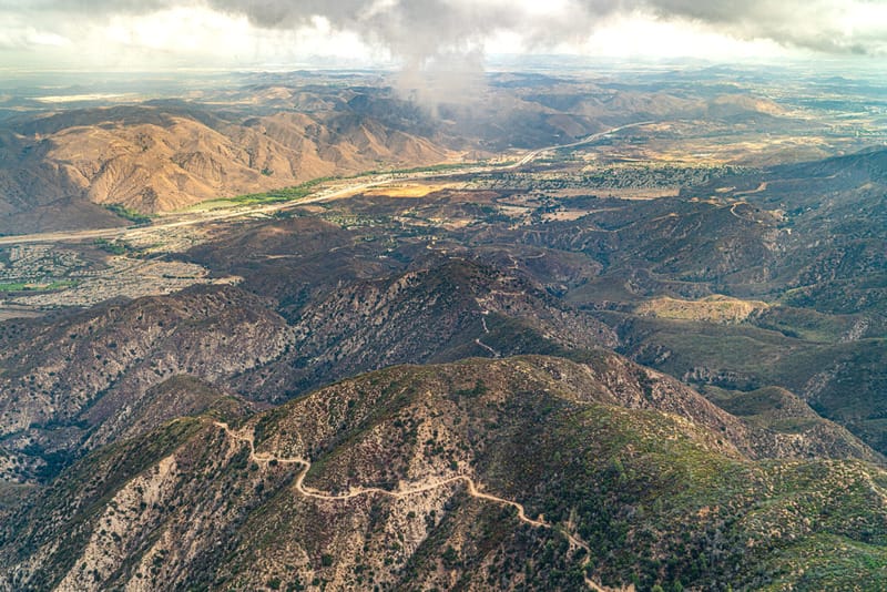 Wild forest in southern california