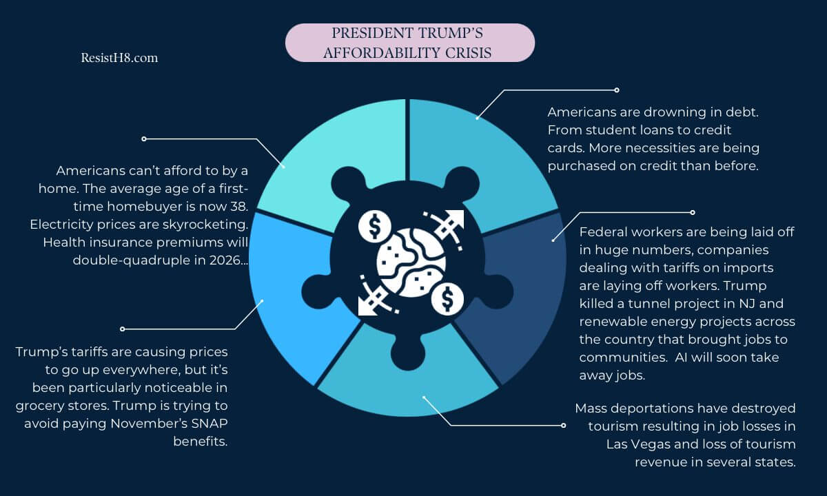 Affordability crisis infographic