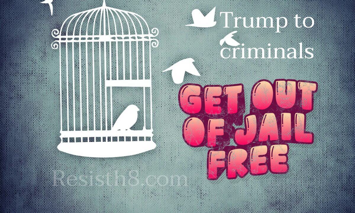 Trump pardons friends