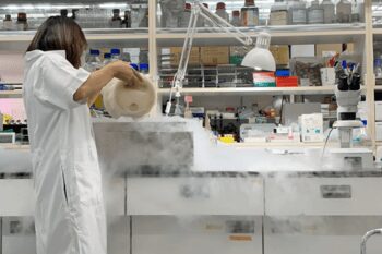 Liquid nitrogen bath prepared for coral larvae